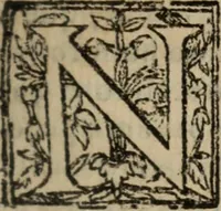 An illustration from Historia do bemauenturado Sam Ioão de Sahagum, patrão Salamantino, primeyra[-segunda] parte (1609)