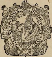 An illustration from Historia do bemauenturado Sam Ioão de Sahagum, patrão Salamantino, primeyra[-segunda] parte (1609)