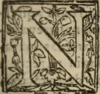 An illustration from Historia do bemauenturado Sam Ioão de Sahagum, patrão Salamantino, primeyra[-segunda] parte (1609)