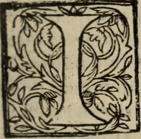 An illustration from Historia do bemauenturado Sam Ioão de Sahagum, patrão Salamantino, primeyra[-segunda] parte (1609)