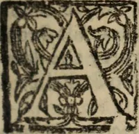 An illustration from Historia do bemauenturado Sam Ioão de Sahagum, patrão Salamantino, primeyra[-segunda] parte (1609)