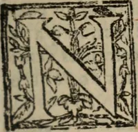 An illustration from Historia do bemauenturado Sam Ioão de Sahagum, patrão Salamantino, primeyra[-segunda] parte (1609)