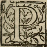 An illustration from Historia do bemauenturado Sam Ioão de Sahagum, patrão Salamantino, primeyra[-segunda] parte (1609)