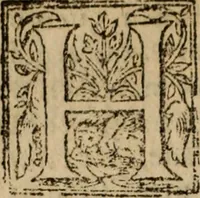 An illustration from Historia do bemauenturado Sam Ioão de Sahagum, patrão Salamantino, primeyra[-segunda] parte (1609)