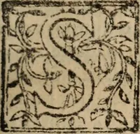 An illustration from Historia do bemauenturado Sam Ioão de Sahagum, patrão Salamantino, primeyra[-segunda] parte (1609)