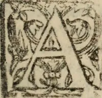 An illustration from Historia do bemauenturado Sam Ioão de Sahagum, patrão Salamantino, primeyra[-segunda] parte (1609)