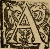 An illustration from Historia do bemauenturado Sam Ioão de Sahagum, patrão Salamantino, primeyra[-segunda] parte (1609)