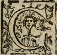 An illustration from Historia do bemauenturado Sam Ioão de Sahagum, patrão Salamantino, primeyra[-segunda] parte (1609)