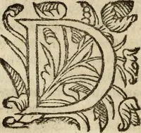 An illustration from Historia do bemauenturado Sam Ioão de Sahagum, patrão Salamantino, primeyra[-segunda] parte (1609)