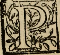 An illustration from Historia do bemauenturado Sam Ioão de Sahagum, patrão Salamantino, primeyra[-segunda] parte (1609)