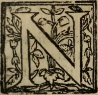 An illustration from Historia do bemauenturado Sam Ioão de Sahagum, patrão Salamantino, primeyra[-segunda] parte (1609)