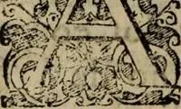 An illustration from Historia do insigne apparecimento de N. Senhora da Luz, & suas obras marauilhosas (1610)