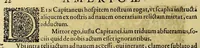 An illustration from Historiae antipodum, siue Novi orbis, qui vulgo Americae, & Indiae Occidentalis nomine vsurpatur, pars tertia, : Complectens admirandam cum ipsius terrae Brasiliae, tum incolarum eius barbarorum & antropophagorum historiam libris tribus descriptam: Quorum I. Primo continetur narratio profectionis Ioannis Stadij Hessi in Brasiliam, qui à barbaris interceptus, nouemque menses inter eos versatus est, II. Diegesis historica naturam coeli solique Brasiliensis, vt & auiam, ferarum, piscium, arborum item caeterorumq[ue] vegetabilium illius terrae experimens. III. Luculientissima descriptio itineris Iohannis Lerij Burgundi, quod in easdem terras suscepit. (1630)