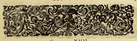 An illustration from Historiae antipodum, siue Novi orbis, qui vulgo Americae, & Indiae Occidentalis nomine vsurpatur, pars tertia, : Complectens admirandam cum ipsius terrae Brasiliae, tum incolarum eius barbarorum & antropophagorum historiam libris tribus descriptam: Quorum I. Primo continetur narratio profectionis Ioannis Stadij Hessi in Brasiliam, qui à barbaris interceptus, nouemque menses inter eos versatus est, II. Diegesis historica naturam coeli solique Brasiliensis, vt & auiam, ferarum, piscium, arborum item caeterorumq[ue] vegetabilium illius terrae experimens. III. Luculientissima descriptio itineris Iohannis Lerij Burgundi, quod in easdem terras suscepit. (1630)