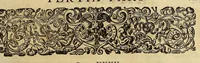 An illustration from Historiae antipodum, siue Novi orbis, qui vulgo Americae, & Indiae Occidentalis nomine vsurpatur, pars tertia, : Complectens admirandam cum ipsius terrae Brasiliae, tum incolarum eius barbarorum & antropophagorum historiam libris tribus descriptam: Quorum I. Primo continetur narratio profectionis Ioannis Stadij Hessi in Brasiliam, qui à barbaris interceptus, nouemque menses inter eos versatus est, II. Diegesis historica naturam coeli solique Brasiliensis, vt & auiam, ferarum, piscium, arborum item caeterorumq[ue] vegetabilium illius terrae experimens. III. Luculientissima descriptio itineris Iohannis Lerij Burgundi, quod in easdem terras suscepit. (1630)
