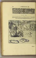 An illustration from Historiae antipodum, siue Novi orbis, qui vulgo Americae, & Indiae Occidentalis nomine vsurpatur, pars tertia, : Complectens admirandam cum ipsius terrae Brasiliae, tum incolarum eius barbarorum & antropophagorum historiam libris tribus descriptam: Quorum I. Primo continetur narratio profectionis Ioannis Stadij Hessi in Brasiliam, qui à barbaris interceptus, nouemque menses inter eos versatus est, II. Diegesis historica naturam coeli solique Brasiliensis, vt & auiam, ferarum, piscium, arborum item caeterorumq[ue] vegetabilium illius terrae experimens. III. Luculientissima descriptio itineris Iohannis Lerij Burgundi, quod in easdem terras suscepit. (1630)