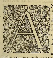 An illustration from Historiae antipodum siue Noui Orbis, qui vulgo Americae et Indiae Occidentalis nomine vsurpatur, pars nona: : continens veram et genvinam descriptionem duarum nauigationum Hollandicarum, quas Batavi diversas orbis partes magno animo, etsi varia fortuna, susceperunt. I. Et primo quidem libro narratur, quo pacto quinq[ue] naues, quae Amsterdamo soluerant. Magellanici freti angustiis superatis in Moluccas insulas pertendere conatae, diuerso euentu vsae fuerint, tribus scopum suum affecutis, duabus reliquis in periculoso illo stricto vi tempestarum variè afflectis, irritoque conamine tandem domum redire compulsis. II. Secundo libro felix & admirabilis Oliuerii van-der-Noort totius orbis periplus percensetur, vbi permulta memoratu dignissima, quae toto illo itinere occurrerunt, verè describuntur. Omnia hactenus confuse nec suo loco edita: nunc verò sublatis innumeris mendiis, interpretum Ablepsia admissis, decenter & ordine accurata: (1633)