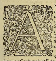 An illustration from Historiae antipodum siue Noui Orbis, qui vulgo Americae et Indiae Occidentalis nomine vsurpatur, pars nona: : continens veram et genvinam descriptionem duarum nauigationum Hollandicarum, quas Batavi diversas orbis partes magno animo, etsi varia fortuna, susceperunt. I. Et primo quidem libro narratur, quo pacto quinq[ue] naues, quae Amsterdamo soluerant. Magellanici freti angustiis superatis in Moluccas insulas pertendere conatae, diuerso euentu vsae fuerint, tribus scopum suum affecutis, duabus reliquis in periculoso illo stricto vi tempestarum variè afflectis, irritoque conamine tandem domum redire compulsis. II. Secundo libro felix & admirabilis Oliuerii van-der-Noort totius orbis periplus percensetur, vbi permulta memoratu dignissima, quae toto illo itinere occurrerunt, verè describuntur. Omnia hactenus confuse nec suo loco edita: nunc verò sublatis innumeris mendiis, interpretum Ablepsia admissis, decenter & ordine accurata: (1633)