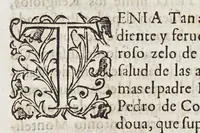 An illustration from Historia eclesiastica de nuestros tiempos, : que es compendio de los excelentes frutos que en ellos el estado eclesiastico y sagradas religiones han hecho y hazen, en la conuersion de idolatras y reducion de hereges. Y de los ilustres martirios de varones apostolicos, que en esta heroicas empressas han padecido. (1611)