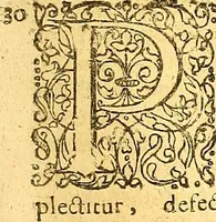 An illustration from Historiae Danicae libri XVI (1644)