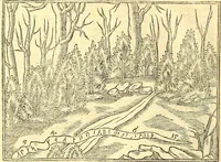 Picture 28 of 49 from Historiae Danicae libri XVI (1644), leaf 501