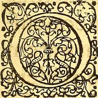 An illustration from Historiae Danicae libri XVI (1644)