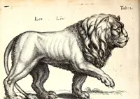 Picture 57 of 101 from Historiae naturalis de quadrupetibus libri : cum aeneis figuris; [Historiae naturalis de serpentibus libri II ; Historiae naturalis de insectis libri III ; Historiae naturalis de exanguibus aquaticis libri IV ; Historiae naturalis de piscibus et cetis libri V ; Historiae naturalis de avibus libri VI] (1650), leaf 213
