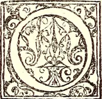 An illustration from Historiae naturalis de quadrupetibus libri : cum aeneis figuris; [Historiae naturalis de serpentibus libri II ; Historiae naturalis de insectis libri III ; Historiae naturalis de exanguibus aquaticis libri IV ; Historiae naturalis de piscibus et cetis libri V ; Historiae naturalis de avibus libri VI] (1650)