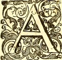 An illustration from Historiae naturalis de quadrupetibus libri : cum aeneis figuris; [Historiae naturalis de serpentibus libri II ; Historiae naturalis de insectis libri III ; Historiae naturalis de exanguibus aquaticis libri IV ; Historiae naturalis de piscibus et cetis libri V ; Historiae naturalis de avibus libri VI] (1650)