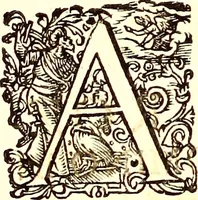 An illustration from Historiae naturalis de quadrupetibus libri : cum aeneis figuris; [Historiae naturalis de serpentibus libri II ; Historiae naturalis de insectis libri III ; Historiae naturalis de exanguibus aquaticis libri IV ; Historiae naturalis de piscibus et cetis libri V ; Historiae naturalis de avibus libri VI] (1650)