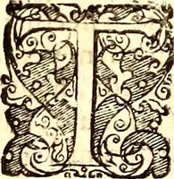 An illustration from Historiae naturalis de quadrupetibus libri : cum aeneis figuris; [Historiae naturalis de serpentibus libri II ; Historiae naturalis de insectis libri III ; Historiae naturalis de exanguibus aquaticis libri IV ; Historiae naturalis de piscibus et cetis libri V ; Historiae naturalis de avibus libri VI] (1650)