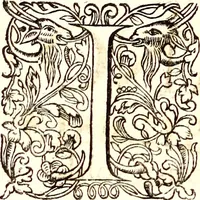 An illustration from Historiae naturalis de quadrupetibus libri : cum aeneis figuris; [Historiae naturalis de serpentibus libri II ; Historiae naturalis de insectis libri III ; Historiae naturalis de exanguibus aquaticis libri IV ; Historiae naturalis de piscibus et cetis libri V ; Historiae naturalis de avibus libri VI] (1650)