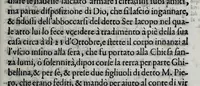 An illustration from Historia fiorentina (1580)