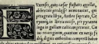 An illustration from Historia fvxensivm comitvm, Bertrandi Helie Appamiensis ivrisconsvlti, in qvatvor libros distincta : eiusdem de regni Nauarrae origine, & regibus qui in ea ad haec usq[ue] tempora regnarunt, circa finem ; subinde rogo te lector, ut loco Francisci Carolum legas, quotiẽs de fratre Henrici regis Nauarrae mentio inciderit (1540)