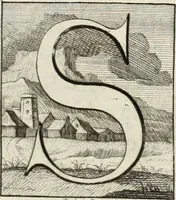 An illustration from Historia genealogica da casa real portugueza : desde a sua origem até o presente, com as familias illustres, que precedem dos reys, e dos serenissimos duques de Bragança ... (1735)