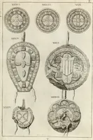 An illustration from Historia genealogica da casa real portugueza : desde a sua origem até o presente, com as familias illustres, que precedem dos reys, e dos serenissimos duques de Bragança ... (1735)