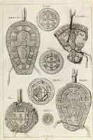 Picture 16 of 199 from Historia genealogica da casa real portugueza : desde a sua origem até o presente, com as familias illustres, que precedem dos reys, e dos serenissimos duques de Bragança ... (1735), leaf 104