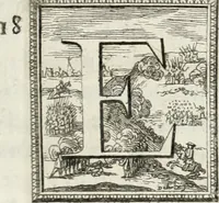 An illustration from Historia genealogica da casa real portugueza : desde a sua origem até o presente, com as familias illustres, que precedem dos reys, e dos serenissimos duques de Bragança ... (1735)