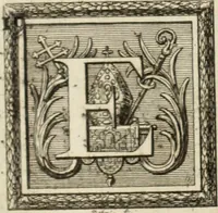 An illustration from Historia genealogica da casa real portugueza : desde a sua origem até o presente, com as familias illustres, que precedem dos reys, e dos serenissimos duques de Bragança (1735)