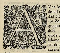An illustration from Historia general de los hechos de los castellanos en las islas i Tierra Firme del Mar Oceano (1601)