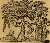 Picture 1 of 34 from Historia Gotthorum, Vandalorum, & Langobardorum (1655), leaf 10