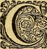 An illustration from Historia Gotthorum, Vandalorum, & Langobardorum (1655)