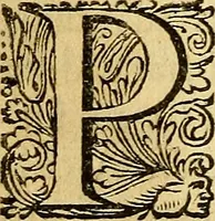 Picture 11 of 34 from Historia Gotthorum, Vandalorum, & Langobardorum (1655), leaf 387