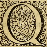 An illustration from Historia Gotthorum, Vandalorum, & Langobardorum (1655)