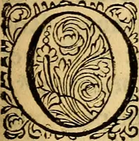 An illustration from Historia Gotthorum, Vandalorum, & Langobardorum (1655)