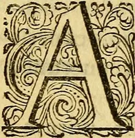 An illustration from Historia Gotthorum, Vandalorum, & Langobardorum (1655)