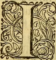 An illustration from Historia Gotthorum, Vandalorum, & Langobardorum (1655)