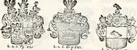 An illustration from Historia insignium illustrium sev Operis heraldici pars specialis : continens delineationem insignium plerorumque regum, ducum principum, comitum & baronum in cultiori Europa, cum explicatione singularum tesserarum, & multis ad familiarum decora titulos atque jura spectantibus, nec non tabulis aeneis scuta galeasq : in opere explicata obtutui exponentibus & indicibus necessariis (1680)