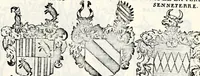 An illustration from Historia insignium illustrium sev Operis heraldici pars specialis : continens delineationem insignium plerorumque regum, ducum principum, comitum & baronum in cultiori Europa, cum explicatione singularum tesserarum, & multis ad familiarum decora titulos atque jura spectantibus, nec non tabulis aeneis scuta galeasq : in opere explicata obtutui exponentibus & indicibus necessariis (1680)