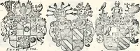 An illustration from Historia insignium illustrium sev Operis heraldici pars specialis : continens delineationem insignium plerorumque regum, ducum principum, comitum & baronum in cultiori Europa, cum explicatione singularum tesserarum, & multis ad familiarum decora titulos atque jura spectantibus, nec non tabulis aeneis scuta galeasq : in opere explicata obtutui exponentibus & indicibus necessariis (1680)